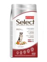 Picart Select Adult large breeds Chicken rice