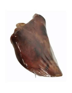 Oreja de cerdo 2