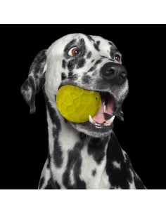 pelota rellenable perro 2