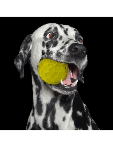 pelota rellenable perro