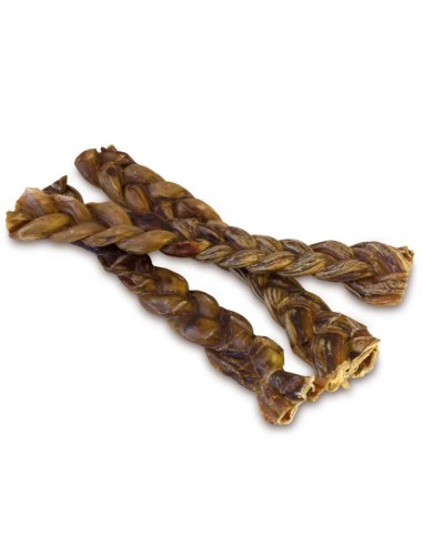 Nervio trenzado  Arquivet