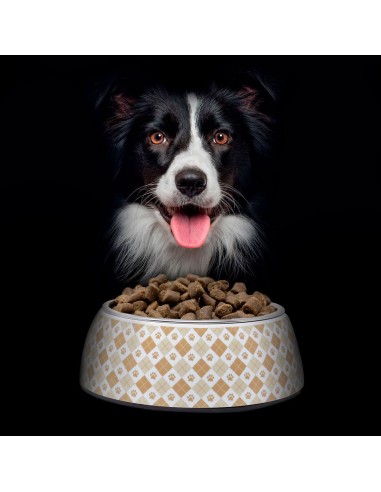 Pienso Nutradog wild pollo y pescado