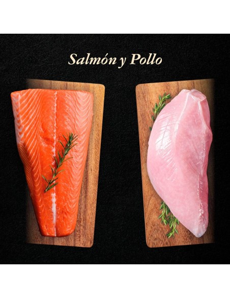 Pienso Nutradog wild salmón y pavo