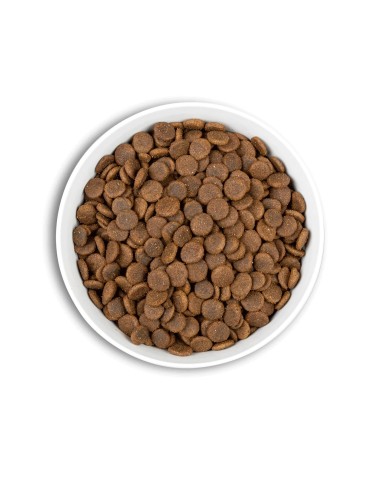 Pienso Era pollo y pavo