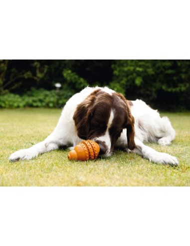 Beeztees Sumo dental