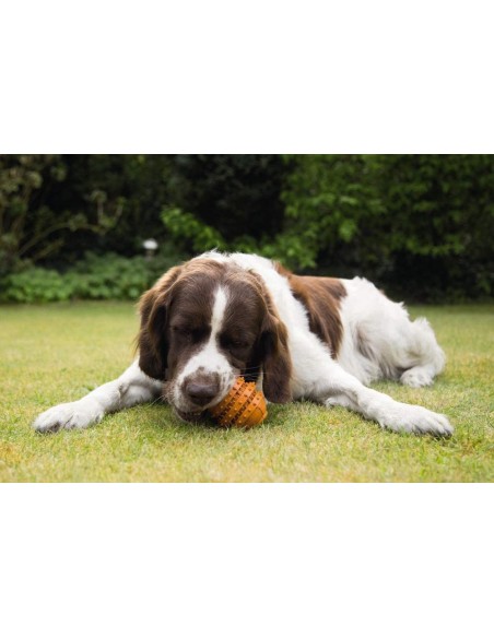 Beeztees Sumo dental